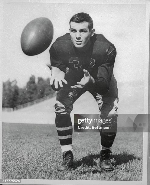 39 Texas College Steers Football Stock Photos, HighRes Pictures, and