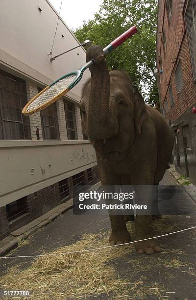228 Racket Launch Stock Photos, High-Res Pictures, and Images - Getty ...
