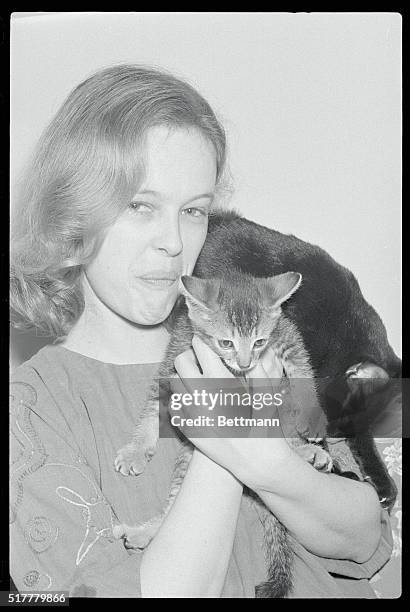 Sandy and the Kitten. New York: Actress Sandy Dennis is quite the animal lover. The star of the current Broadway show, Daphne in Cottage D, Miss...