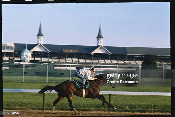 Louisville, KY: Follish Pleasures beaten only once in his lifetime works out at Churchill Downs for the 101st Kentucky Derby to be run May 3. Jacinto...