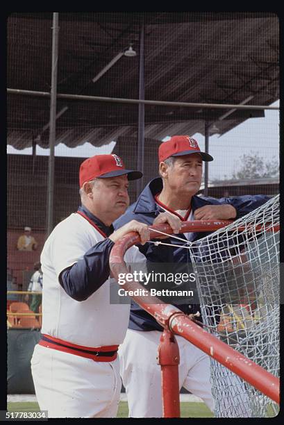 Winter Haven, Fla.: Hall of famer Ted Williams joins Boston Red Sox manager Don Zimmer at cage during batting practice here. Williams is Bosox...