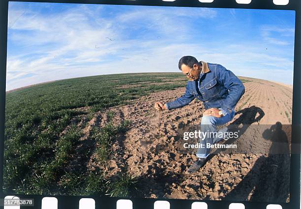Kansas: Farmer Paul Brown of Sublette, Kansas, crumbles handful of scorched earth as he checks his drought stricken fields.