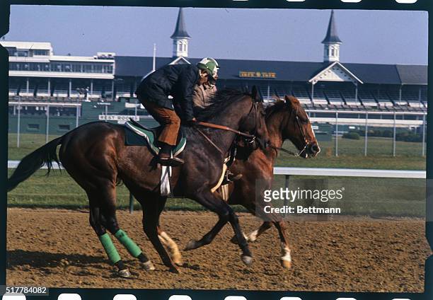 Louisville, KY.: Honest Pleasure , the odds-on favorite in the Kentucky Derby, 5/1, passes the famed twin spires at Churchill Downs during workout....