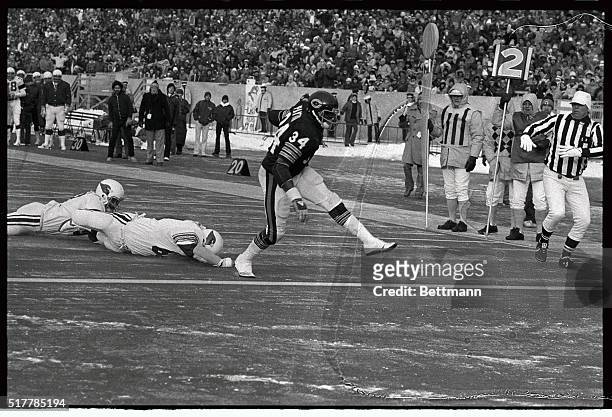 Chicago: Chicago Bears' Walter Payton streaks out of reach of St. Louis Cardinal tacklers to score touchdown in second quarter of the St. Louis...
