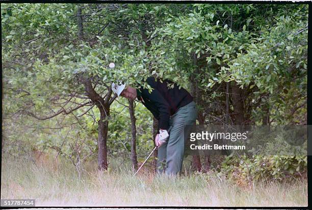 Southampton, New York: Larry Nelson of Atlanta fires from under a tree while playing the third hole 6/13 on second round of U. S. Open.