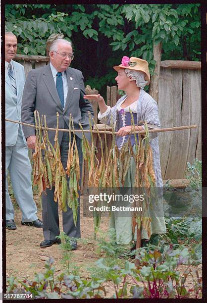 McLean, Va.: Farm guide Anna Eberly and Secretary of Agriculture Richard E. Lyng stand behind drying tobacco at the Claude Moore Colonial Farms...