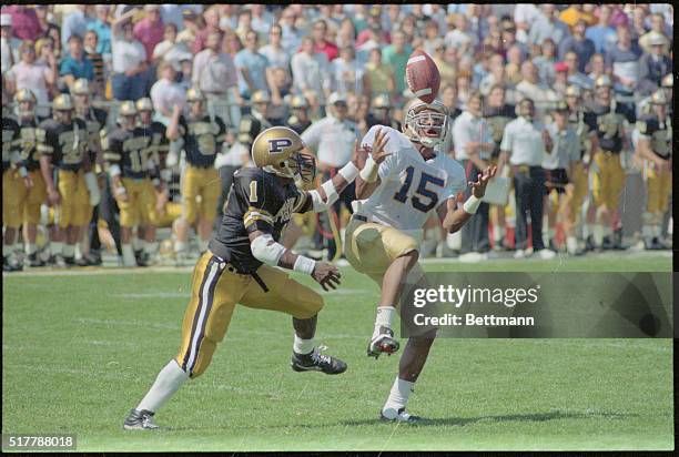 West Lafayette, Indiana: Notre Dame split end Pat Terrell manages to come up with this first-half pass as Purdue's defensive back Steve Jackson moves...