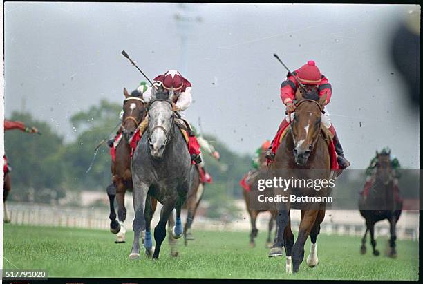 Arlington Heights, Illinois: Winning by a length and-a-half, Manila, with jockey Angel Cordero up, crosses the finish line to take the Arlington...