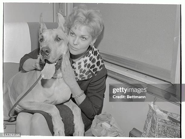 Wolves keep their distance when Kim Novak travels with her pet Great Dane, Warlock. The actress and the giant canine journeyed by railroad from Los...