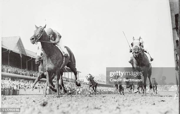 Louisvile, Kentucky: Worm's eye view of the Kentucky Derby finish shows winner ' Tim Tam', at left and place horse Lincoln Road, at right.