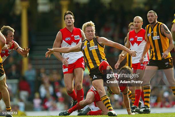 Sam Mitchell of the Hawks in action during the round nine AFL match between the Sydney Swans and the Hawthorn Hawkes at the Sydney Cricket Ground May...