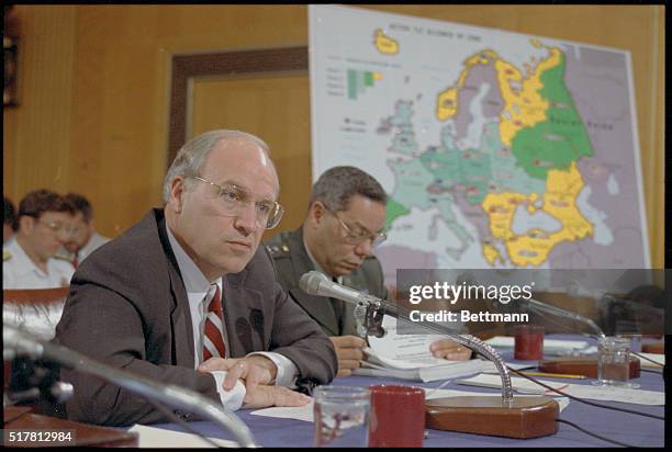 Washington: Secretary of Defense Richard Cheney testifies before the Senate Foreign Relations committee on the Treaty on Conventional Armed Forces in...