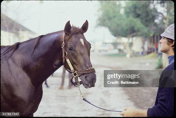 Hallandale, Florida: Seemingly lost in thought, Calumet Farms' Alydar may be contemplating the future here at Gulfstream Park 3/31/ Alydar is the top...