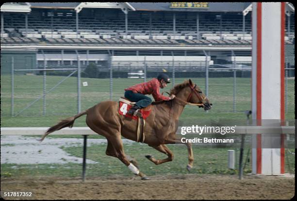 Louisville, KY.: The Kentucky Derby to be held 5/13, has started to take on the dimension of a grudge match between first favorite Alydar and second...