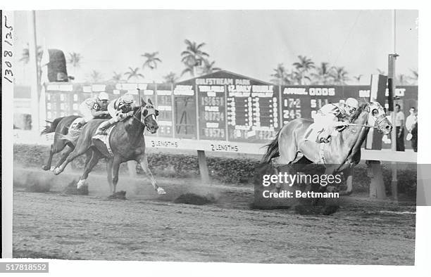 Sailor with Willie Hartack aboard, romps in the $112,900 Gulfstream Park Handicap as Nashua ran out of the money for the first time in his career....