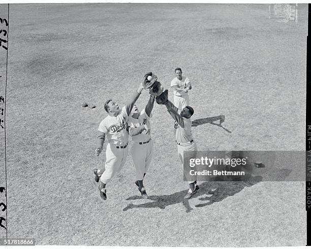Up in the air over this thing called spring training are Dodgers Gil Hodges, Capt. Peewee Reese and Roy Campanella. They are going after a high drive...