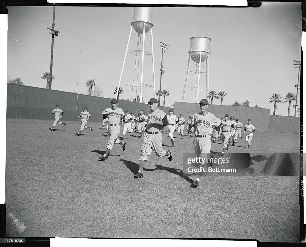 Chicago Cubs Running