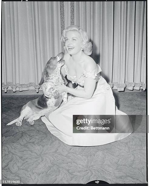Lovely Cleo Moore is greeted by her namesake, Cleo, the "Talking" Basset Hound on Jackie Cooper's television show, The People's Choice, as they meet...