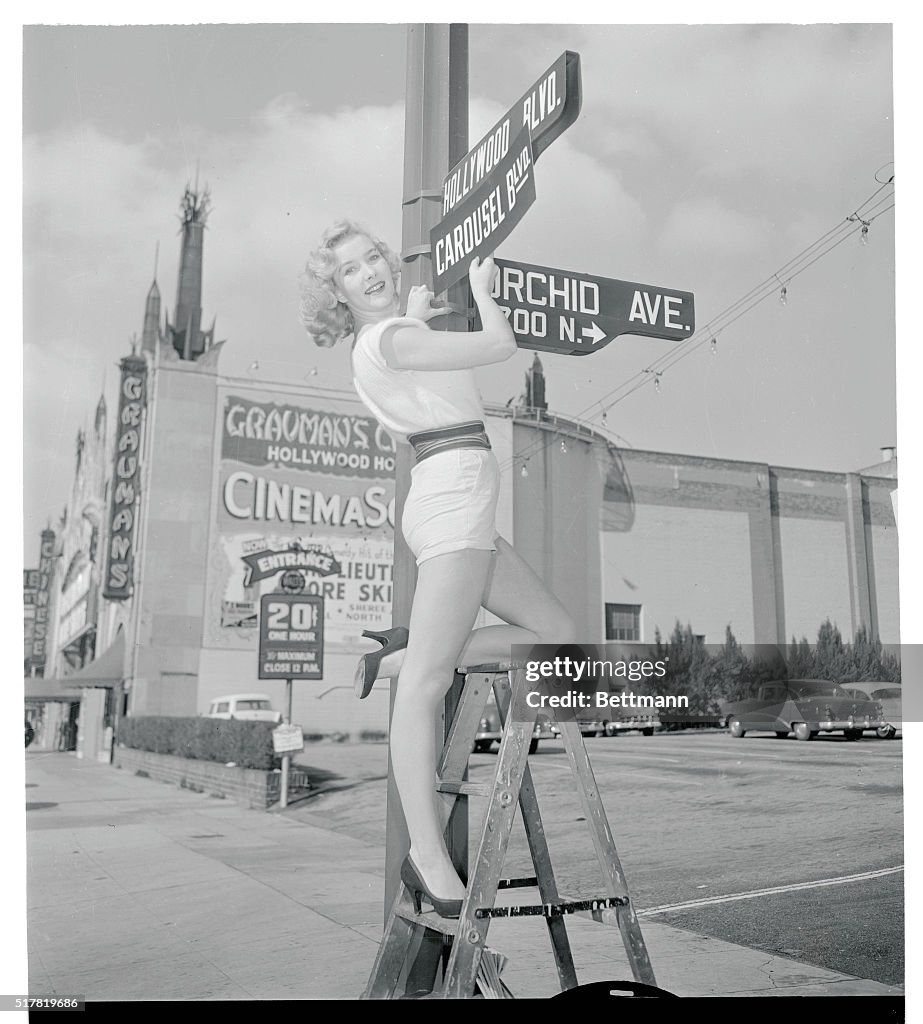 Kathy Marlowe Changing Hollywood Boulevard Sign