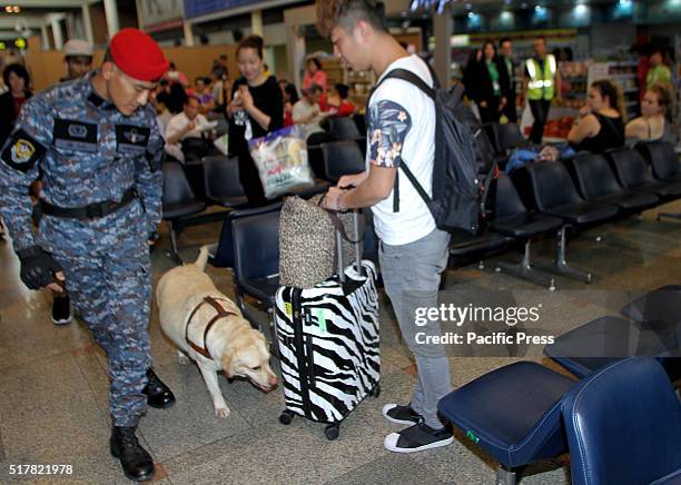 Thai K9 unit patrols and dog soldiers from Royal Thai Air Force Security Forces command to explore and search for explosives at Don Mueang...