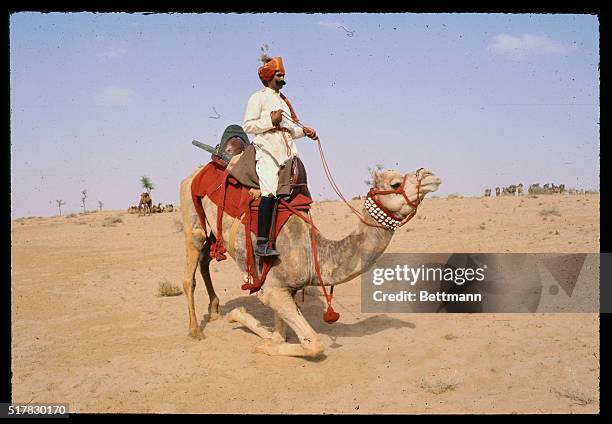 The open desert provides little camouflage to hide the camel patrol. The camel by its very size and shape presents a large and easy target for a...