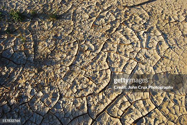 dried up lake - mud riverbed stock pictures, royalty-free photos & images