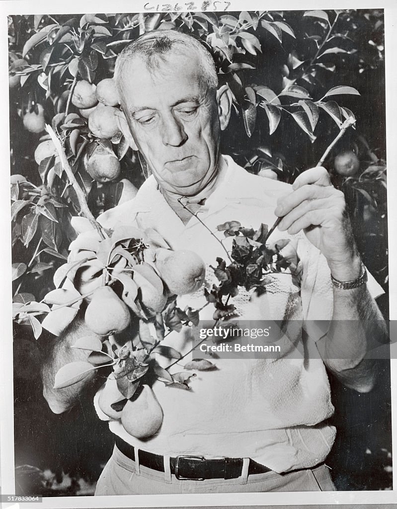 John C. Dunegan with Plants