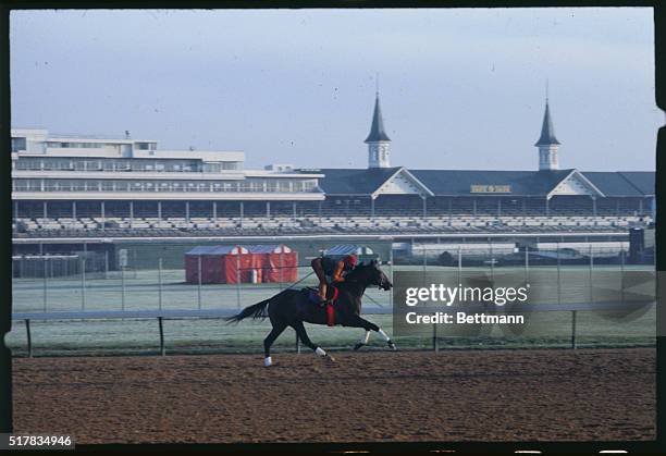 Louisville, Kentucky: The famous twin spires of Churchill Downs loom over Kentucky Derby favorite Spectacular Bid during workout 4/29, for the 5/5...