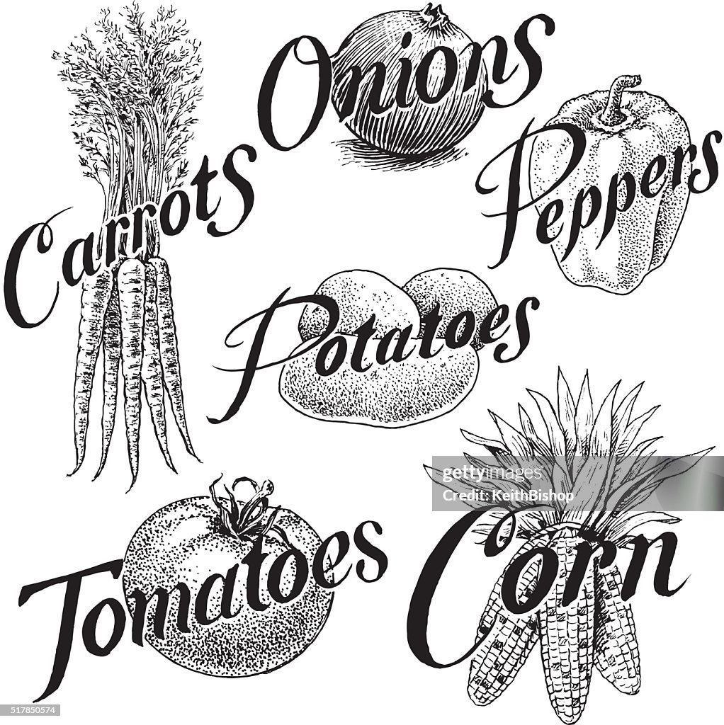 Vegetables, Corn, Carrots, Onions, Pepper, Tomato, Potato