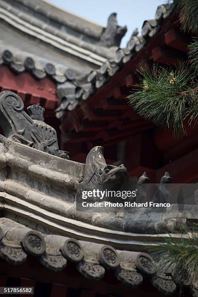Tuan Jie Hu Park Roof Charms Beijing, Stockfoto