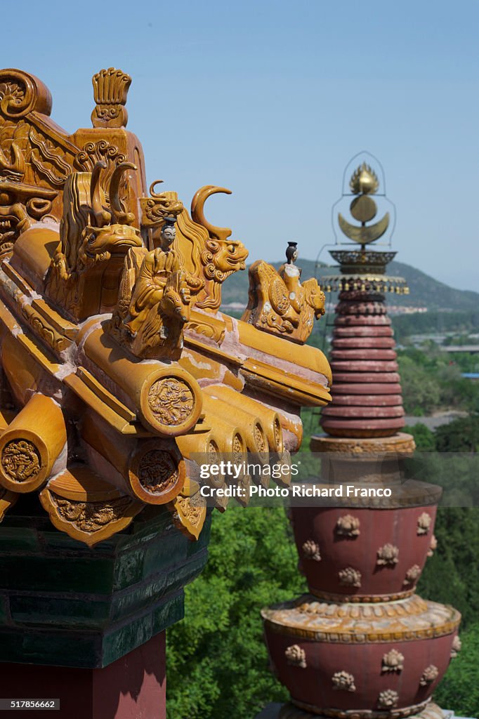 Summer Palace Roof Charms, Beijing
