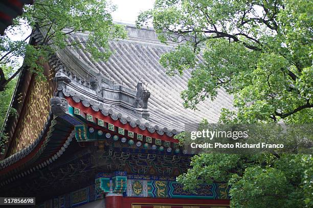 Summer Palace Roof Charms Beijing High-Res Stock Photo