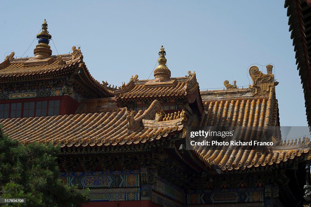 Lama Temple Roof Charms, Beijing