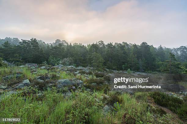 159 Early Spring Finland Stock Photos, High-Res Pictures, and Images ...