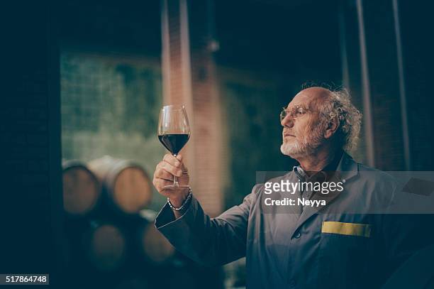 senior man with beard holding glass of red wine - wine making stock pictures, royalty-free photos & images