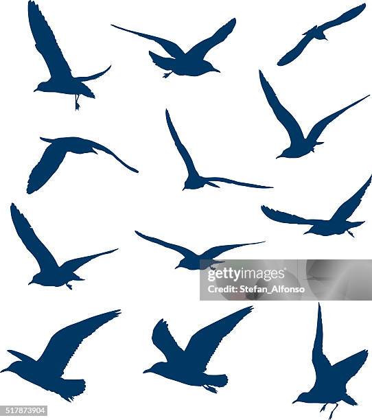 2 555点のカモメイラスト素材 Getty Images 2 555点のカモメイラスト素材 Getty Images