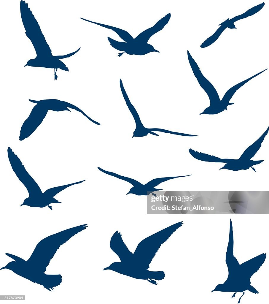 Spring Shape Flying Flying Bird Shapes