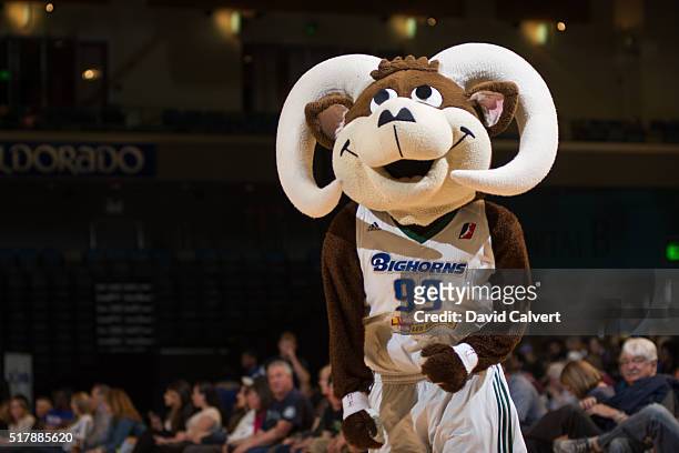Bruno the Reno Bighorns mascot entertains the crowd before playing the Idaho Stampede at the Reno Events Center on March 26, 2016 in Reno, Nevada....