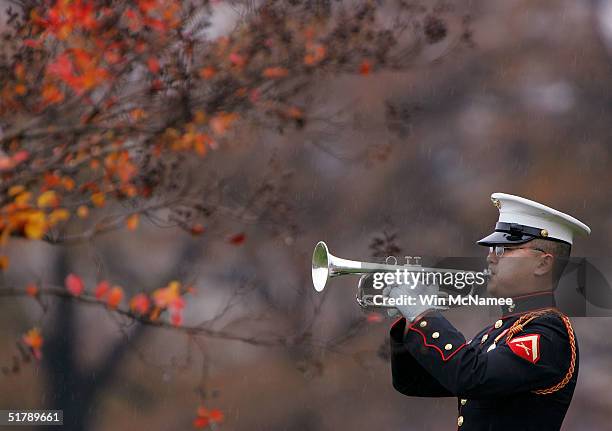 Lone bugler plays "Taps" during funeral services for U.S. Marine Corps Cpl. Nicholas L. Ziolkowski at Arlington National Cemetery November 24, 2004....