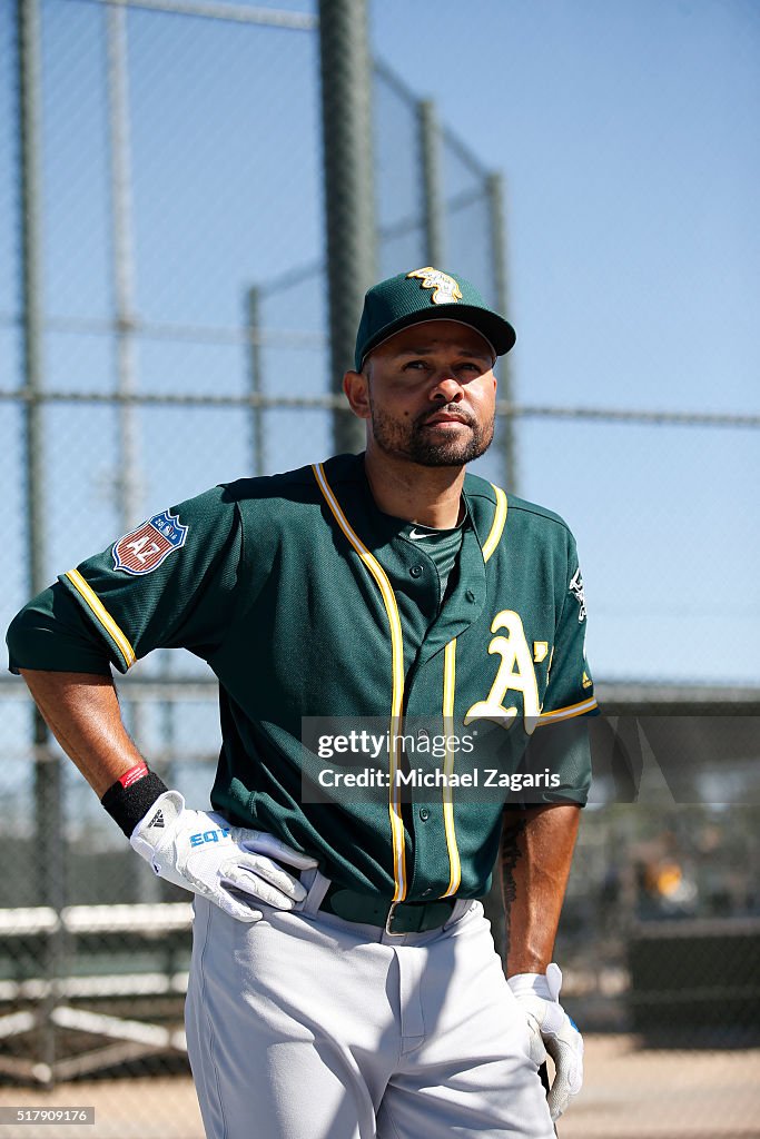 Oakland Athletics Spring Training Workout