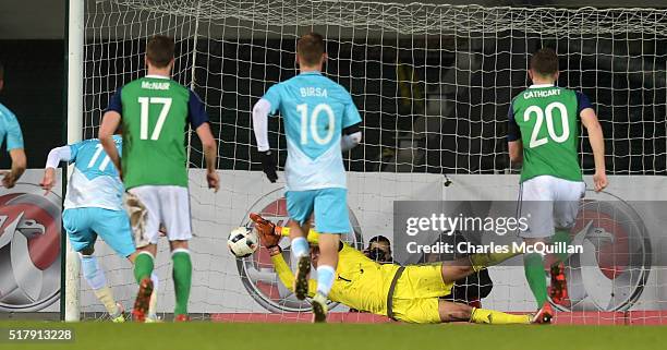 Roy Carroll of Northern Ireland saves a penalty from Novakovic Milivoje of Slovenia during the international friendly between Northern Ireland and...