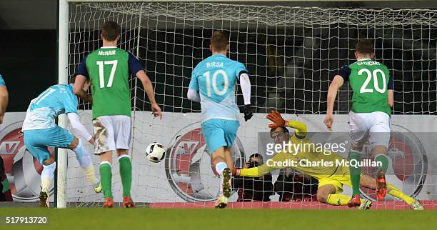 Roy Carroll of Northern Ireland saves a penalty from Novakovic Milivoje of Slovenia during the international friendly between Northern Ireland and...