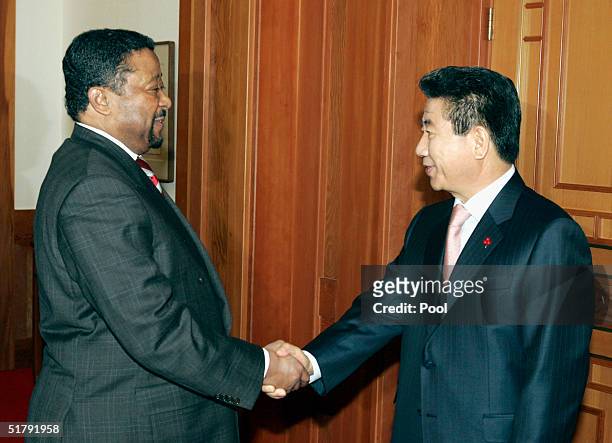 South Korean President Roh Moo-Hyun shakes hands with U.N. General Assembly President Jean Ping at the presidential Blue House on November 25, 2004...
