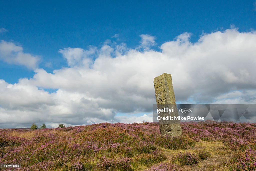 Stone way marker in flowering heather, Yorkshire