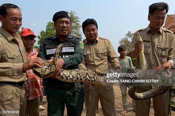 Cambodia Python Cambodia Python Photos and Premium High Res Pictures - Getty Images