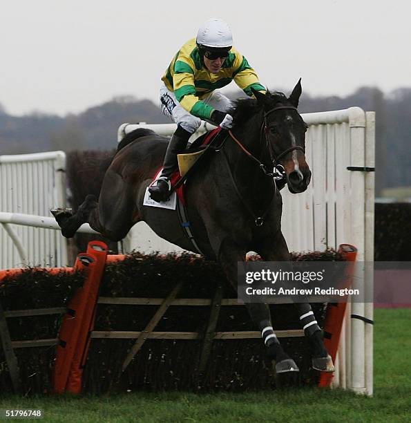 Tony McCoy rides Baracouda to victory in The Ballymore Properties Long Distance Hurdle Race at Newbury racecourse on November 27, 2004 in Newbury,...