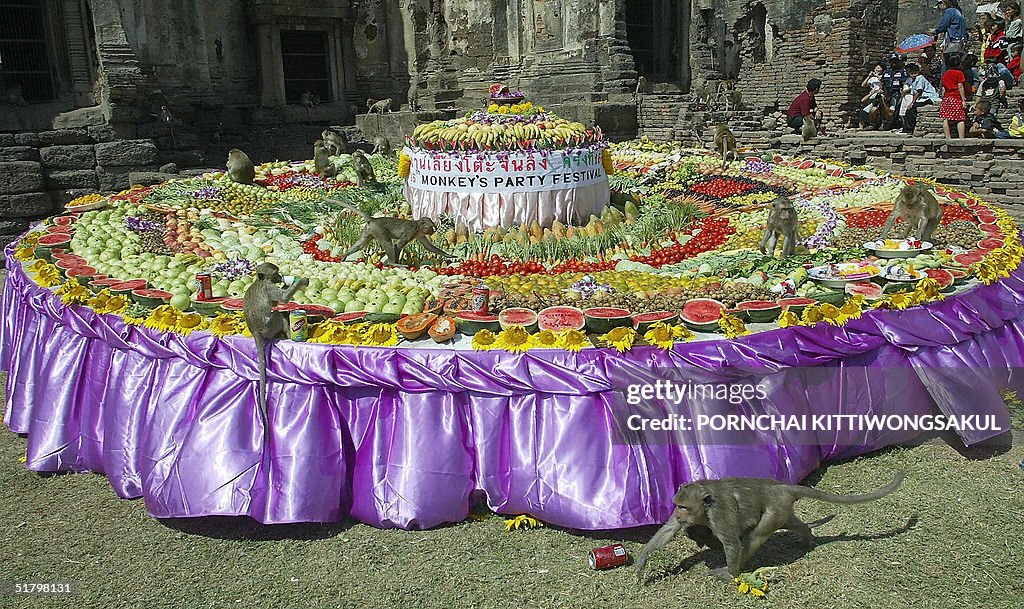 Monkeys enjoy eating fruits and vegetabl
