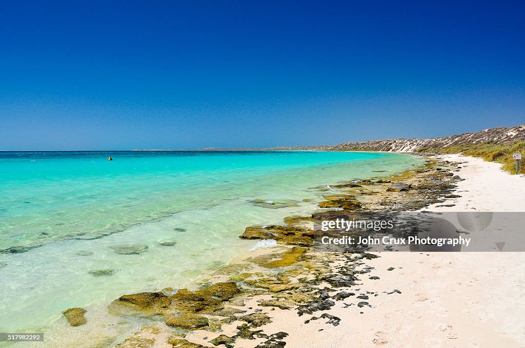 Shell Exmouth Exmouth Beaches High-Res Stock Photo - Getty Images