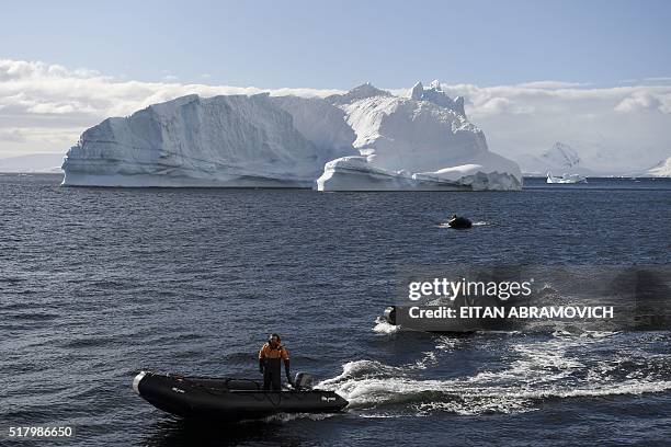 Guides wait for tourists to board thier rubber dinghies to cruise the western Antarctic peninsula on March 05, 2016. The Antarctic tourism industry...