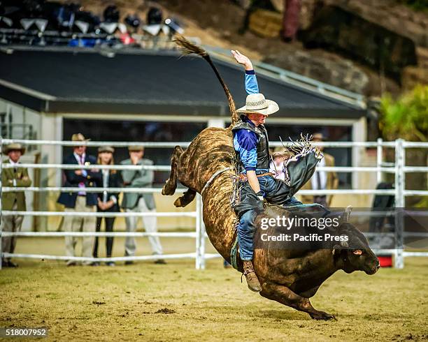 Easter Show Rodeo Royal Easter Show Photos and Premium High Res Pictures - Getty Images